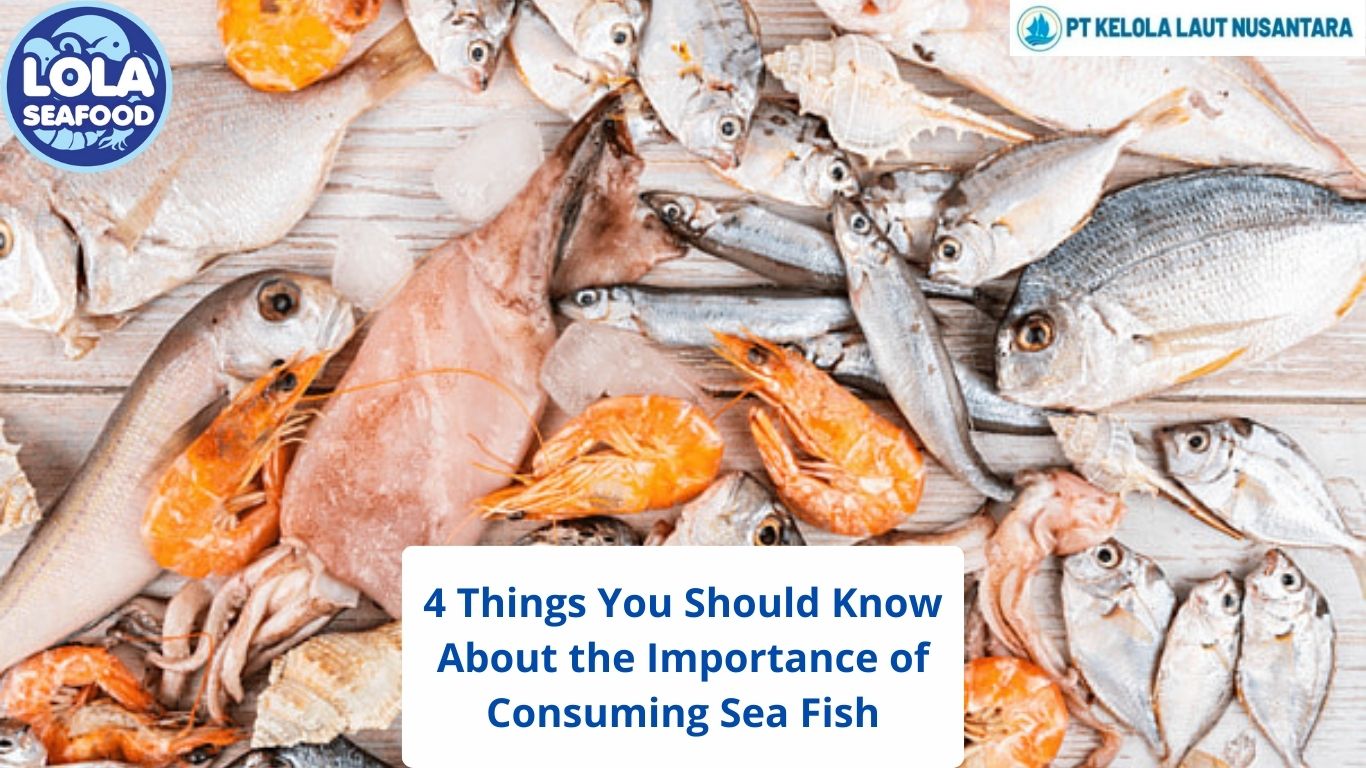 4 Things You Should Know About the Importance of Consuming Sea Fish